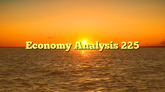 Economy Analysis 225